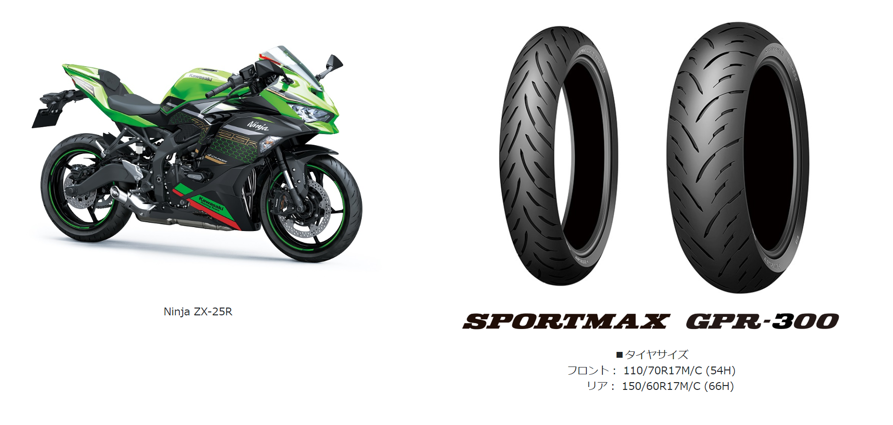 2輪車用タイヤDUNLOP｢SPORTMAX GPR-300｣が川崎重工業株式会社の｢Ninja 