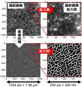 ゴム材料の電子顕微鏡画像を明瞭化する新たな画像処理手法を開発【横浜ゴム】