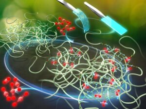 CO₂を吸収してプラスチックに変わるゴムを発明