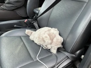 dSPACEとMathWorks社がパートナーシップを拡大し、RoadRunnerとASM OpenXを連携