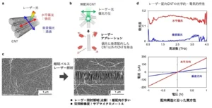 カーボンナノチューブの配向を狙った場所だけ調整する新たな光プロセスを開発【東京理科大学】